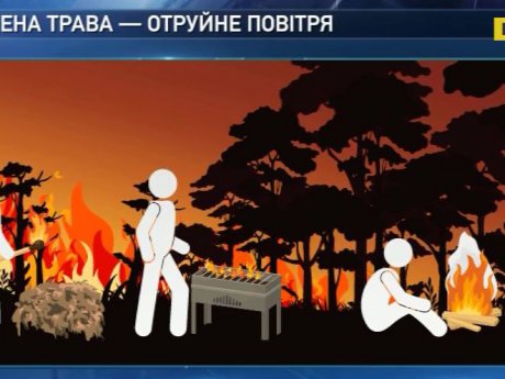 Рятувальники просять громадян не провокувати пожежі на природі