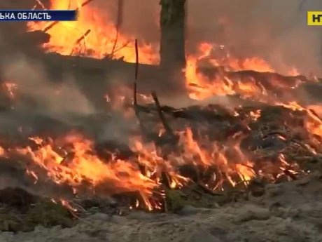 5 день рятувальники ліквідовують пожежу в зоні відчуження: уряд підвищив штрафи