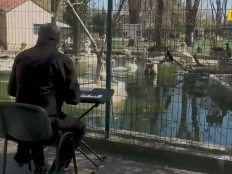 В Одесском зоопарке у животных - музыкальный карантин