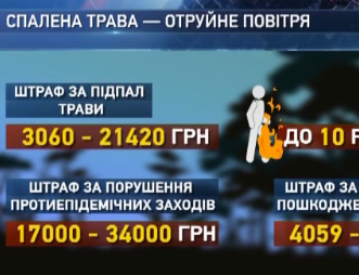 Рятувальники просять людей не провокувати пожежі на природі