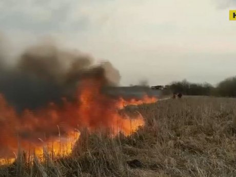 Страшные пожары с новой силой вспыхнули в Житомирской области и зоне отчуждения