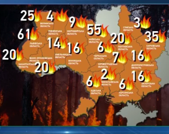 Пожары в Житомирской  области взяли под контроль