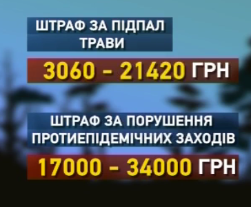 Спасатели просят людей не провоцировать пожары на природе