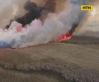 У Польщі горить найбільший національний парк країни