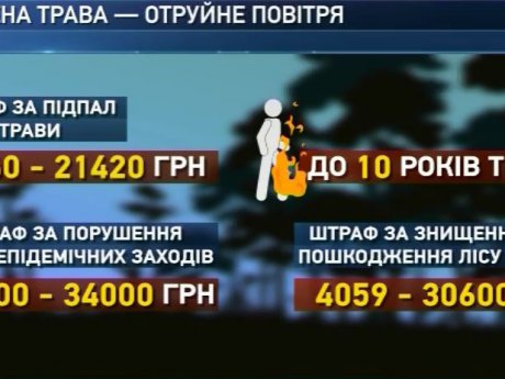 Рятувальники просять людей не провокувати пожежі на природі