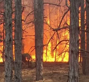 У Чорнобильській зоні триває ліквідація пожеж