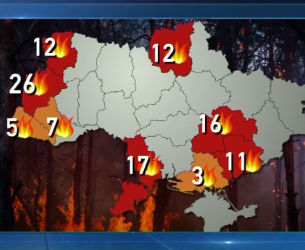 На Житомирщині спалахнув Поліський природний заповідник