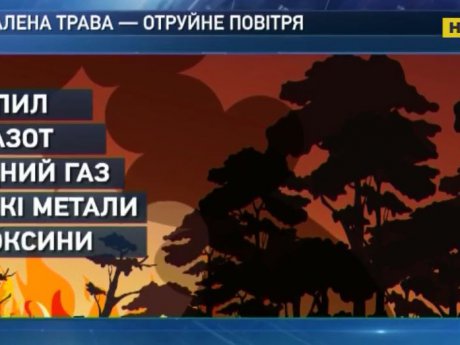 Рятувальники просять людей не провокувати пожежі на природі