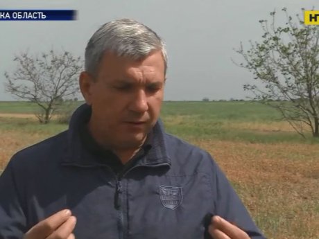 В Одеській області фермер скоїв самогубство через втрату врожаю
