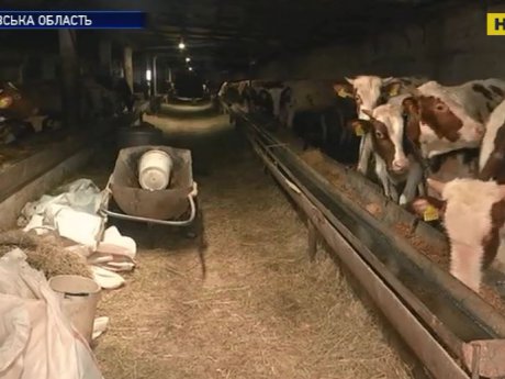 На Харківщині подружжя фермерів звинувачують у триманні працівників у рабстві