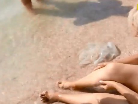 В разгар курортного сезона Черное и Азовское моря заполонили медузы