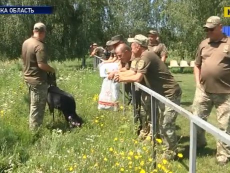 На Сумщині відбулися змагання вівчарок, які стережуть злочинців