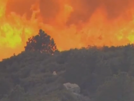 В США бушуют смертельные лесные пожары