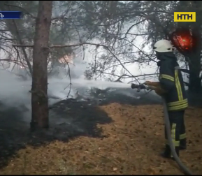 В Киевской области горел лес
