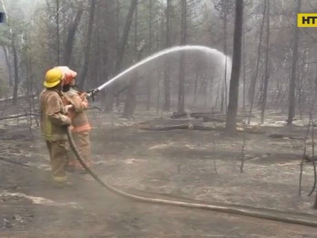 Рятувальники вкотре закликають: не влаштовуйте пожежі на природі