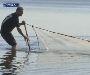 В водах Днепра начали считать рыбу