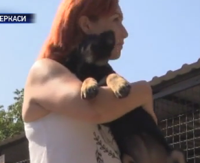 Сайт знайомства з безпритульними тваринами незабаром запрацює у Черкасах