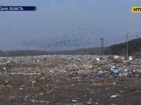 Отруйне повітря: одне з найбільших сміттєзвалищ Київщини давно переповнене