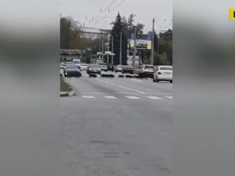 Кабанья семья на несколько минут остановила движение по большой магистрали в Харькове