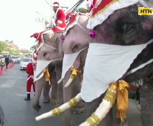 В Таиланде детей с Рождеством поздравили слоны