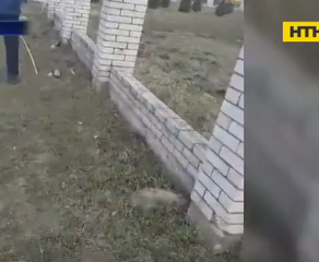 На Волыни 15-летняя девушка на мотоцикле насмерть разбилась об забор