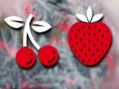 В Украине в этом году может быть неурожай фруктов и ягод