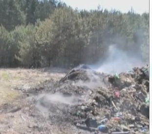 Крупный пожар на Волыни: выгорело 5 гектаров леса рядом с жилыми домами