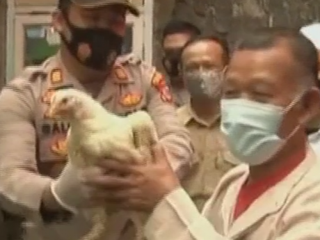 Живу курку за щеплення проти коронавірусу почали дарувати в Індонезії.