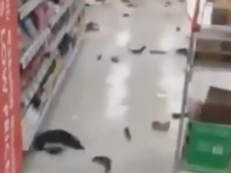 Десятки рыб выбрались из воды и прыгали по полу одного из московских супермаркетов