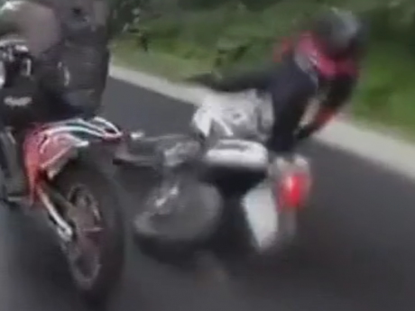 Два мотоциклиста и конь такое курьезное дорожное происшествие произошло на Ивано-Франковщине