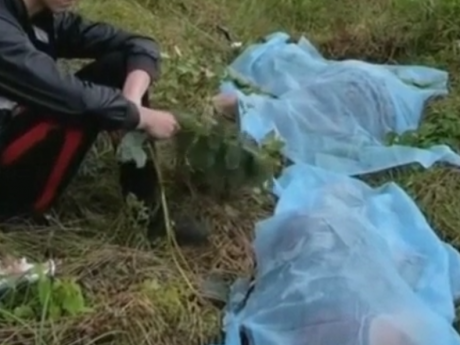 В Винницкой области двух женщин буквально раздавило БМВ в которое влетел ВАЗ