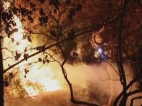 Жертвами лесных пожаров на курортах Турции стали уже по меньшей мере восемь человек, пострадали более 800