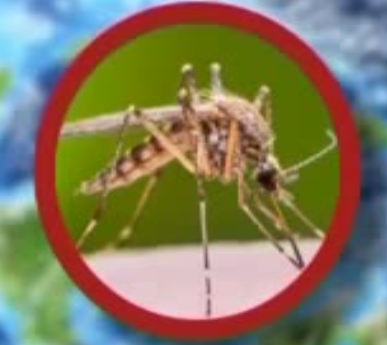 Из-за комаров в  Украине может вырасти распространение  - малярии