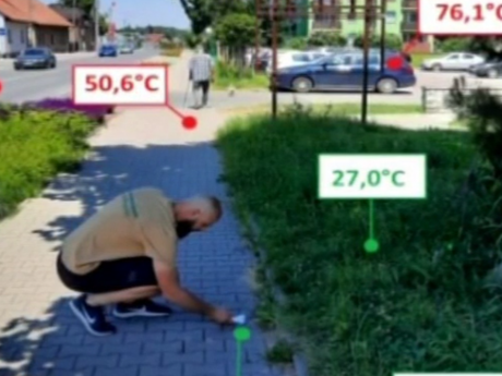 В Украине с каждым годом уменьшаются зеленые зоны