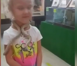 У російському контактному зоопарку змія вкусила 5-річну дівчинку за обличчя