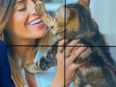 Власників котів, учені визнали щасливими людьми
