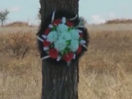 У Миколаєві правоохоронцям вдалося розшукати водія, котрий на смерть збив 11-річну дівчинку на пішохідному переході