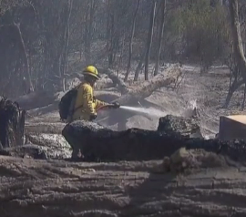 Десятки домов сгорели дотла во время лесных пожаров в Чили