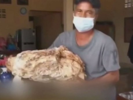 Тайский рыбак нашел рвоту кашалота стоимостью более одного миллиона долларов