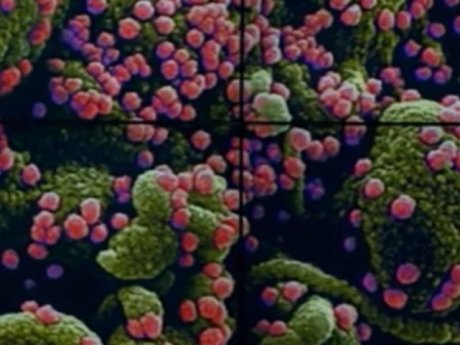 Новий небезпечний штам коронавірусу, який уже називають "супер-мутант", сьогодні виявили у Великій Британії, Німеччині та Чехії