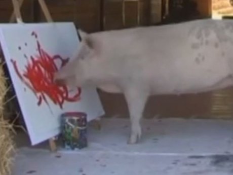 Картину свиньи-художницы продали за рекордные почти двадцать семь тысяч долларов