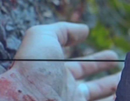 На Буковине в селе Черногозы молодой человек зарезал ножом, а затем добивал топором и лопатой своего друга