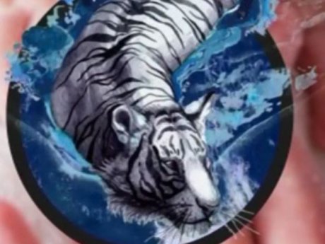 Год Черного Водяного Тигра существенно повлияет на характер и судьбу людей, рожденных под этим знаком