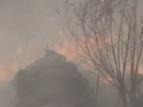 Масштабні лісові  пожежі спричинили стихійне лихо в Аргентині