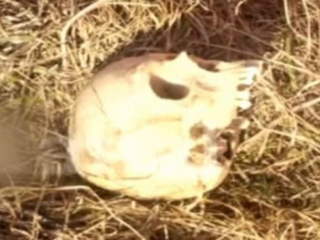 Под Одессой обнаружили человеческие останки на свалке