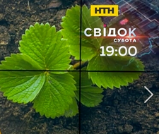 Украинские семена, удобрения и рассада постоянно дорожают