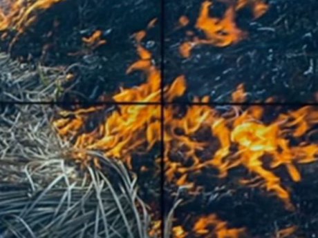 В Одесской области люди провоцируют пожары в эко-системах