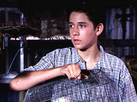 Фильм "Хильдегард"