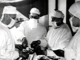 Органы на экспорт