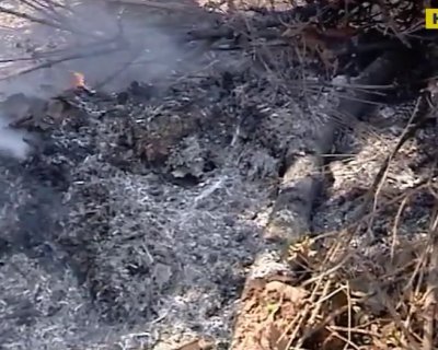 На Киевщине люди сжигают хлам и травят соседку